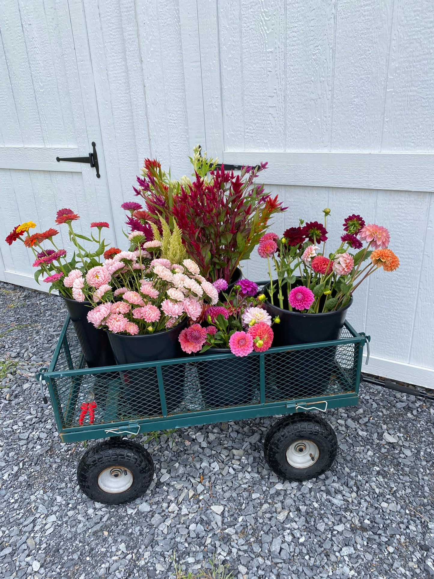 Buckets of Blooms and Greens